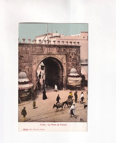 4188) Postcard TUNIS - La Porte de FRANCE - old !
