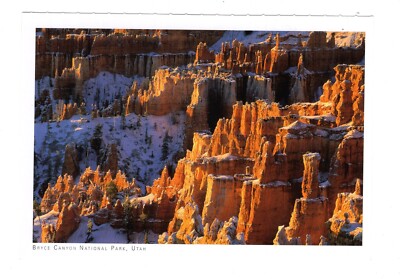 AK Ansichtskarte Bryce Canyon National Park / Utah USA