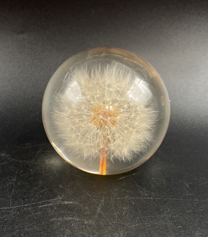 Hippocampus Seed Bloom Dandelion Paperweight Made in England 