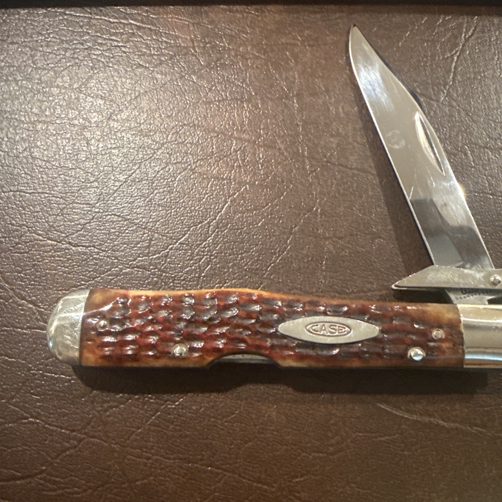 Case XX 10 Dot 1970 6111 ½ L "Cheetah" Folding Guard Lockback Knife Color