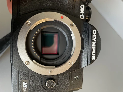 Olympus OM-D E-M10 Mark IIIs / 2175 Auslösungen - Bild 4 von 6