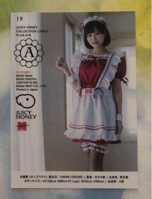 19 Ai Hongo Yume Nikaido Juicy Honey PLUS#16 Regular Card Nudes