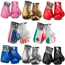Title Boxing 3.5" Authentic Detailed Mini Lace Up Gloves