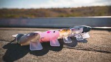 Evergreen International Combat Rat Wake Bait - Choose Color