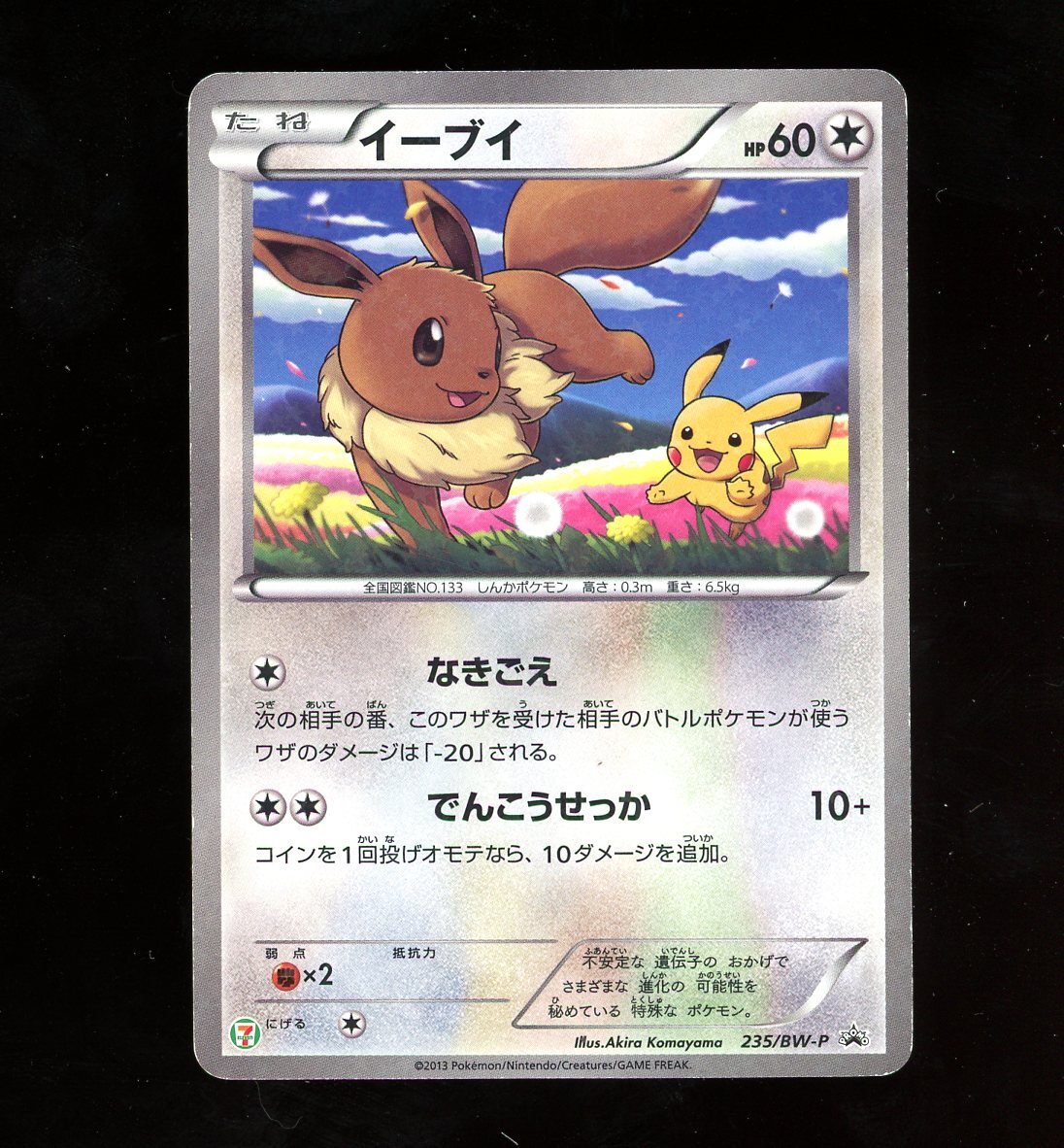 EVNNE ポラロイド EVNNE ポラロイド人気 商品 通販