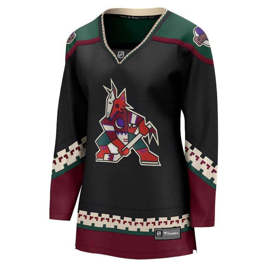 Sweat à Capuche Arizona Coyotes Kachina – Logo Vintage – Taille 2XL – NHL Hockey