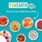 YumEarth Organic Gummy Bears Pack of 15 Assorted Fruit Flavors Allergy Friendly