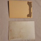 Lot 3 Vintage Original Mounted B&W Portrait Photos Men Dog Animal Theme Unfr — photo 2