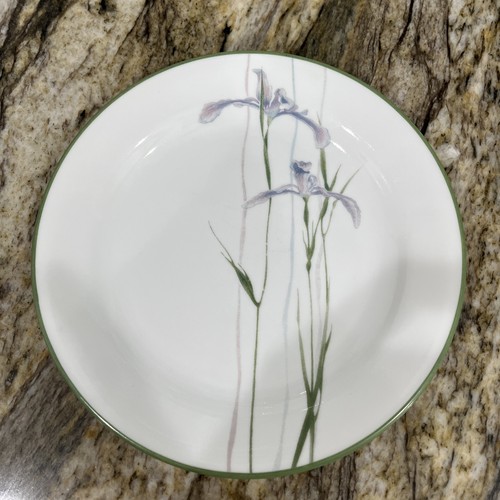 Juego de 5 platos de postre para ensalada Corelle Vitrelle patrón de iris sombra 7 1/4” 🇺🇸 - Imagen 12 de 24