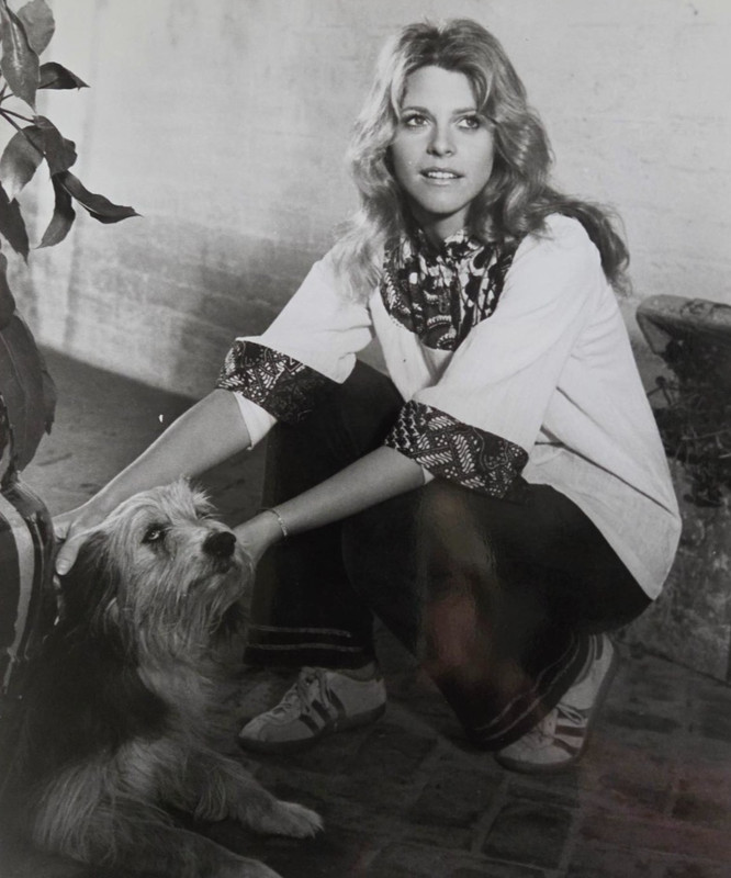 ABC Vintage Original BW 8x10 Press Photo Lindsay Wagner The Bionic Woman 