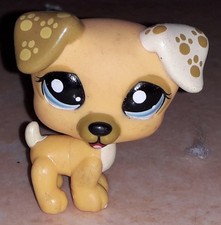 Petshop chien jack russel 1496