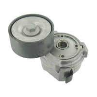 SKF Spannrolle, Keilrippenriemen Vkmcv 51003