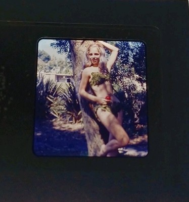 Stereo Realist 3D  Pinup Slide  Risque Blonde Model 1950s.  60's !  [59]