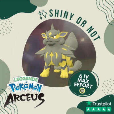 Arcanine Shiny   Legends Pokémon Arceus 6 IV Max Effort Alpha Leggende Custom