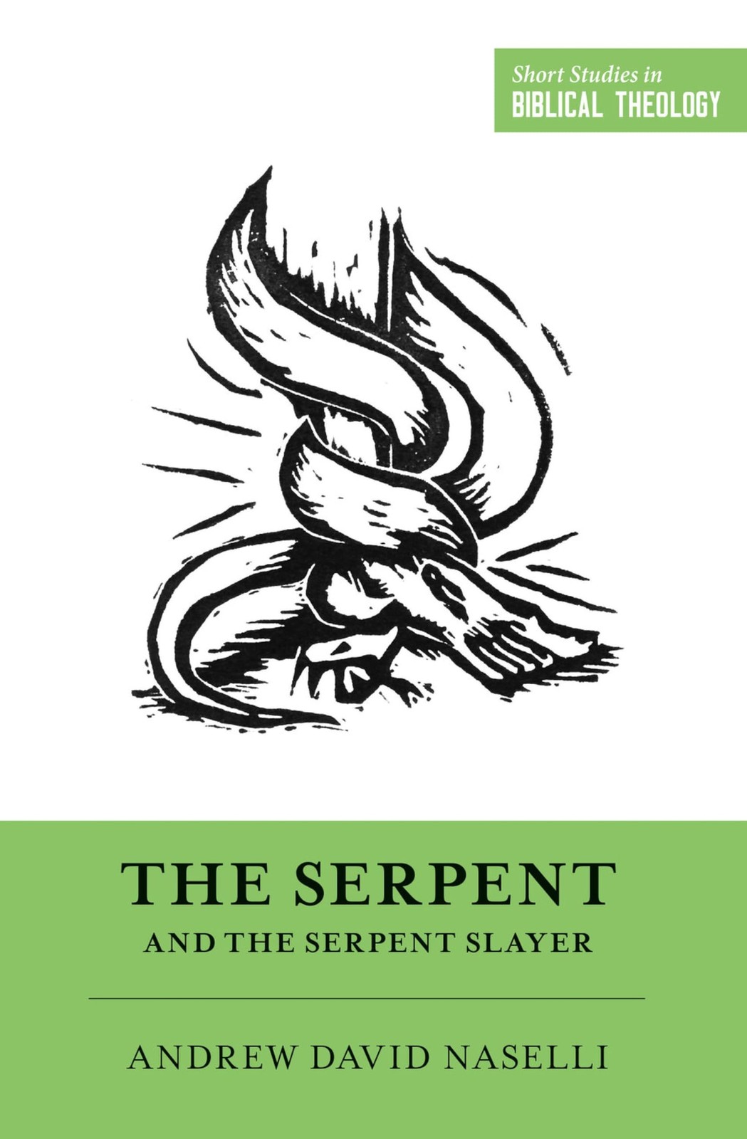 The Serpent and the Serpent Slayer by Andrew David Naselli 9781433567971 NEW - Image 5