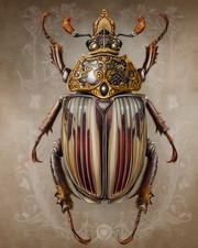 Escarabajo 8x10 ornamentado ilustración simétrica - telón de fondo decorativo - 959141580