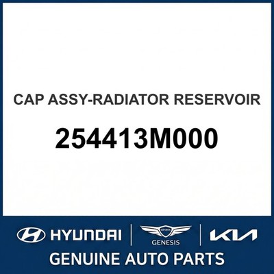 2011-2013 Kia Optima Kappe Baugruppe - Kühler Ausgleichsbehälter OEM Neu 2544...