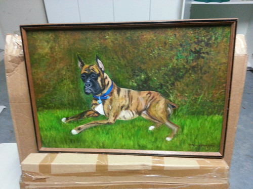 FRAMED Boxer Dog Art Original Oil Painting On Canvas  - Picture 1 of 4