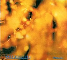 Reflection von Steamhammer | CD | Zustand sehr gut