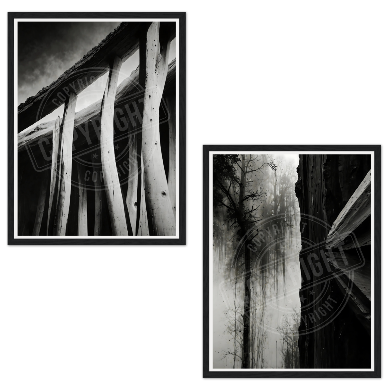 Black & White Abstract Nature-Inspired Framed Print 2pc Set Wall Art Home Decor