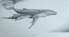 Peter Hildick Tranquility Whale Hand signed Lithograph UK Wildlife ARTIST, COA