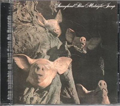 Midnight Jump - Sunnyland Slim CD TGVG The Cheap Fast Free Post