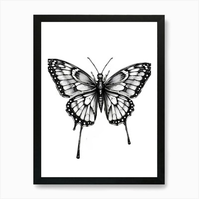 Butterfly Drawing 1 Art Print Framed Wall Art Poster Canvas Print Picture