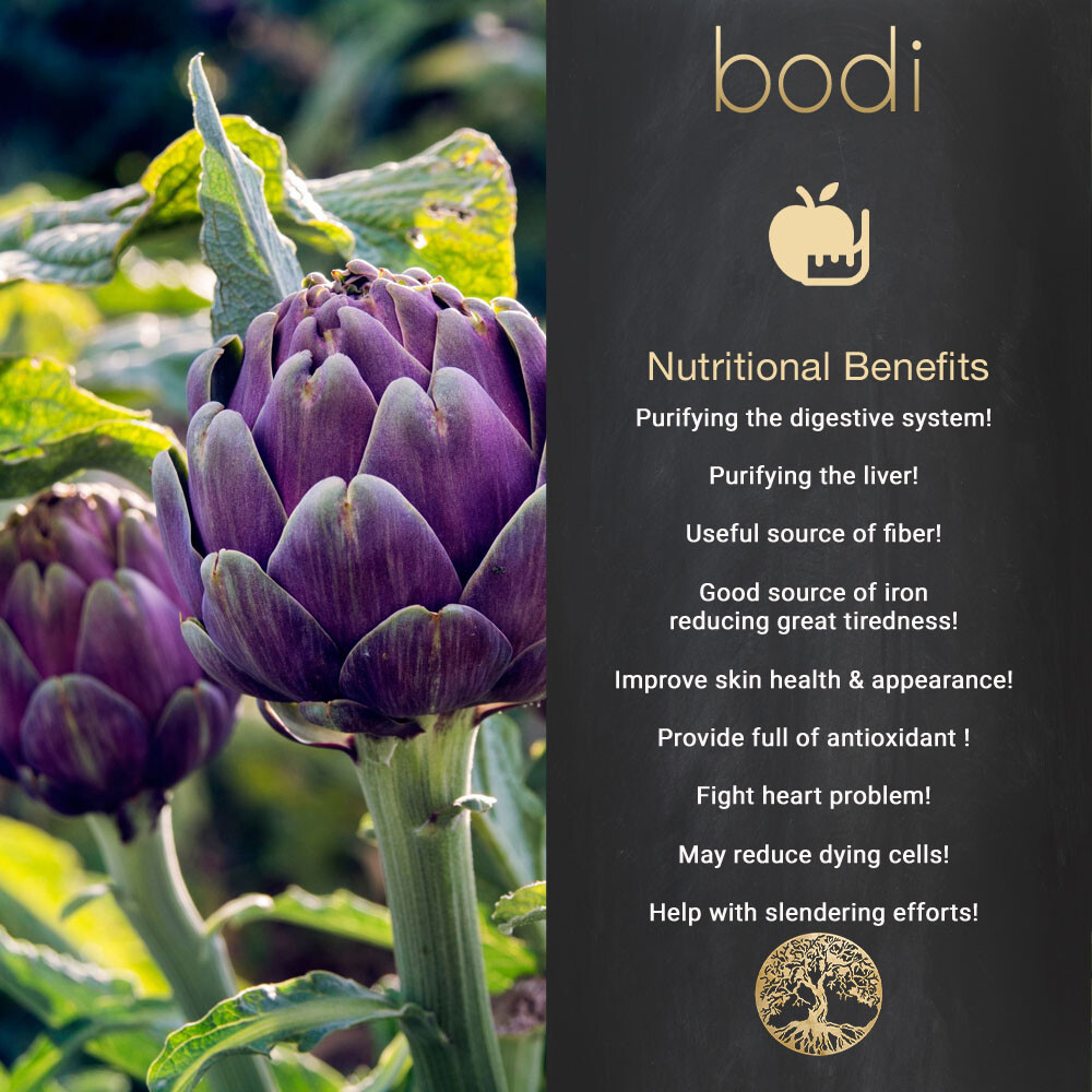 Artichoke Leaf Powder 4oz to 5lb 100 Pure Natural Hand Crafted eBay