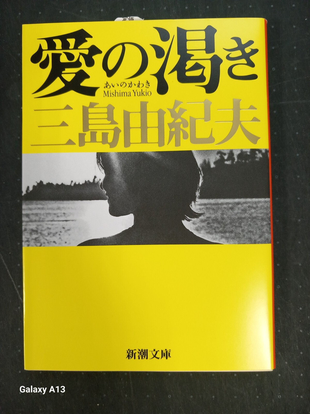 THIRST OF LOVE BY YUKIO MISHIMA (JAPAMESE NOVEL)
