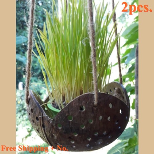 2x Kokosnuss Muschel Hängepflanze Natur Topf Garten Wohndeko Lotusblume Vase
