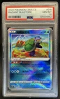 2024 Pokemon Chinese Radiant Blastoise #015 PSA 10 GEM MINT