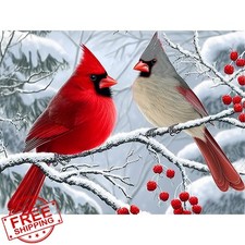DIYDECORFUN Cardinal Diamond Art Kit 16x12in Red Bird Snow Scene Painting