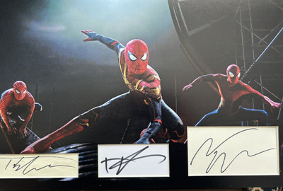 Tobey Maguire Tom Holland Andrew Garfield Spider man 16 X 12