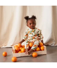 MOLO Set Sweatshirt Sweat pants Joggers OUTFIT Mini Mandarins Oranges 80CM 12M