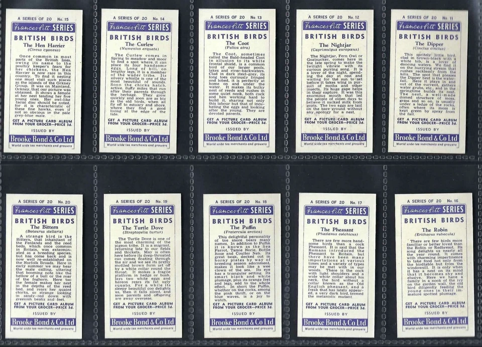 BROOKE BOND - BRITISH BIRDS - FULL SET OF 20 CARDS - Image 4 of 4