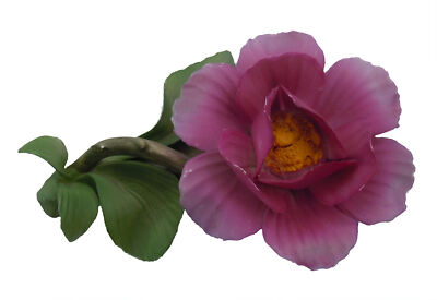 Capodimonte Porzellan Rose - CARDINAL DE RICHELIEU - 80er Jahre für Franklin Min