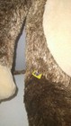 Bild 4 von 13