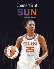 Connecticut Sun, Paperback by Hanlon, Luke, Brand New, Free shipping in the US