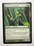 Magic The Gathering Morningtide Gilt-Leaf Archdruid #124/150 MTG TCG CCG