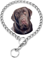 Dog Chain Collars,Metal Slip Link Training Heavy Duty Dog Collar Martingale P...