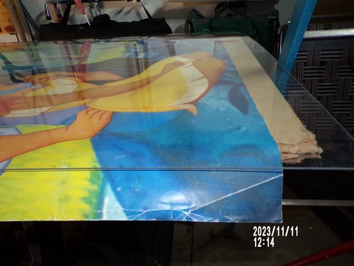 Estandarte de ventana de exhibición de tienda de Pocahantas con sello de Disney - Imagen 9 de 24