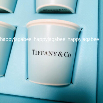 TIFFANY & CO BONE CHINA Espresso Paper Cup set of 4 w/ Box Tiffany
