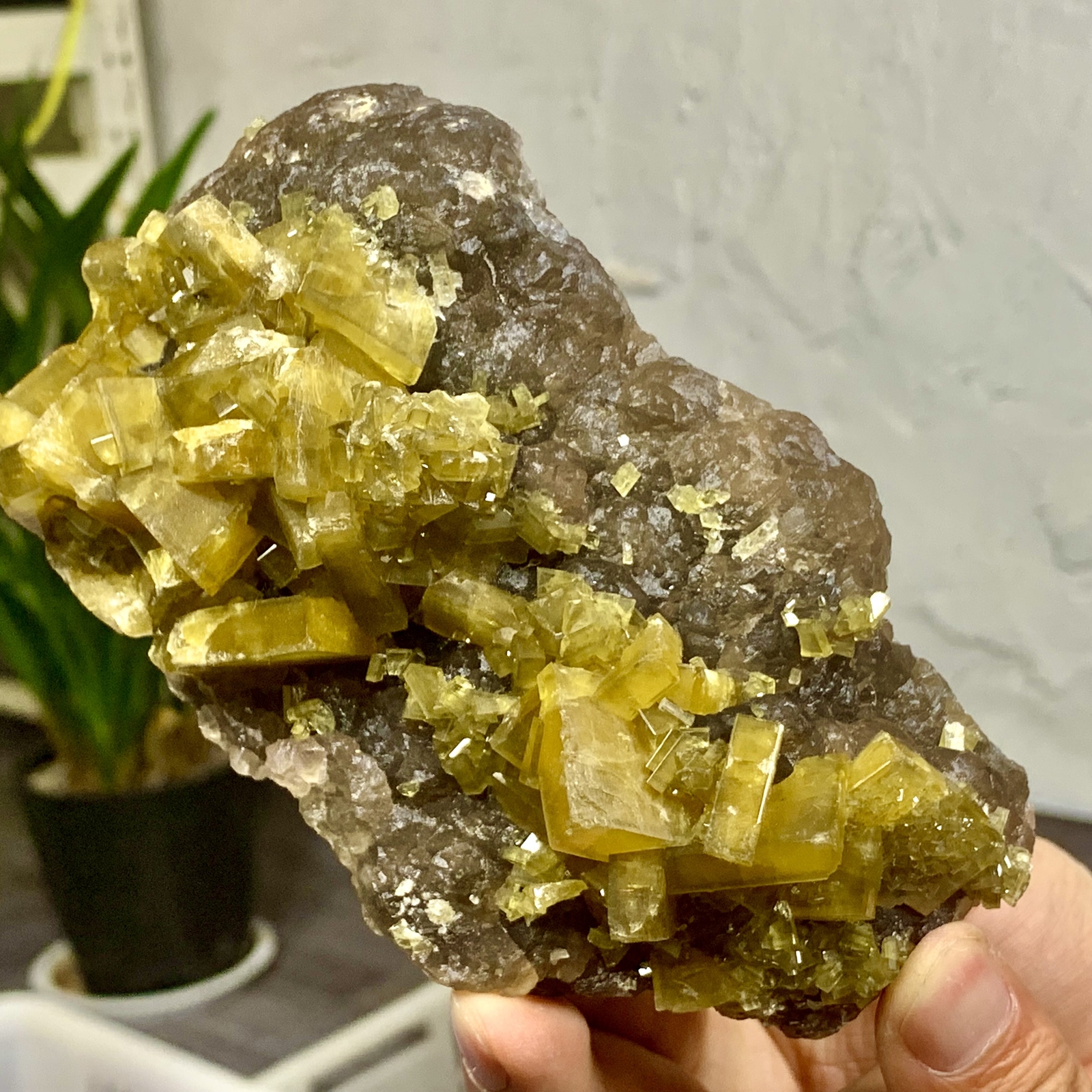 1.75LB Golden Barite Crystal on Purple Fluorite Sphere
