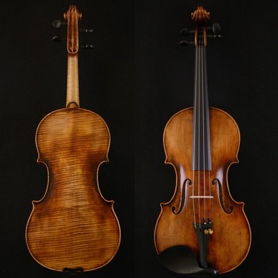 Master Violin Guarneri del Gesu 1743 Cannone Violin 1-PC Back  No.W027