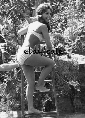 DAWN WELLS Photo GILLIGAN'S ISLAND Mary Ann bikini CANDID | eBay