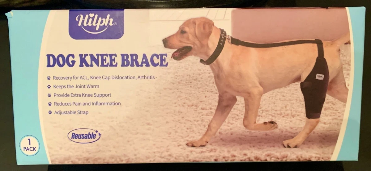 Dog knee cheap brace ebay