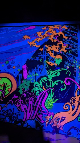 Póster vintage 1972 Werks Black Light Póster #107 Valle de la Muerte 34" x 23" - Imagen 6 de 14