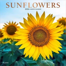 Sunflowers | 2026 12x24" (Hanging) Monthly Square Wall Calendar