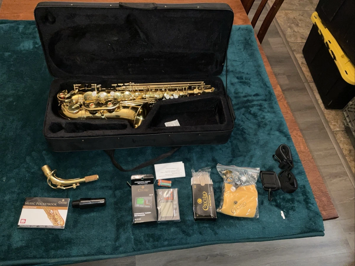 Mendini Lacquered Saxophones for sale | eBay