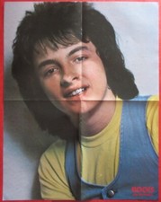 IAN MITCHELL ex BAY CITY ROLLERS ROSETTA STONE 1977 POSTER JAPAN MAGAZINE RKS 12